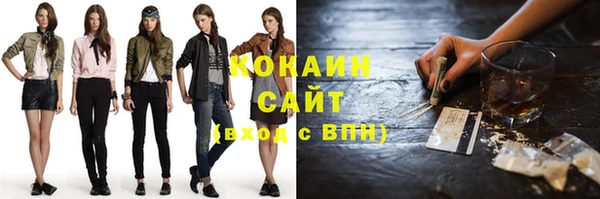 индика Алзамай