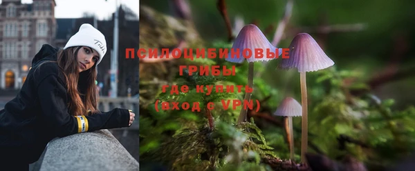 соль ск Алексин