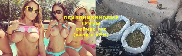 индика Алзамай